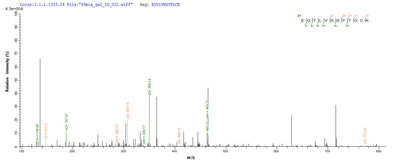 Based on the SEQUEST from database of E.coli host and target protein, the LC-MS/MS Analysis result of this product could indicate that this peptide derived from E.coli-expressed Centruroides suffusus suffusus (Mexican scorpion) Beta-mammal toxin Css4.