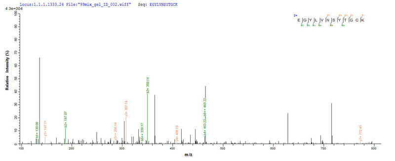 Based on the SEQUEST from database of E.coli host and target protein, the LC-MS/MS Analysis result of this product could indicate that this peptide derived from E.coli-expressed Centruroides suffusus suffusus (Mexican scorpion) Beta-mammal toxin Css4.