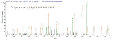Based on the SEQUEST from database of E.coli host and target protein, the LC-MS/MS Analysis result of this product could indicate that this peptide derived from E.coli-expressed Herpes simplex virus type 2 (strain SA8) (Simian agent 8) US12.
