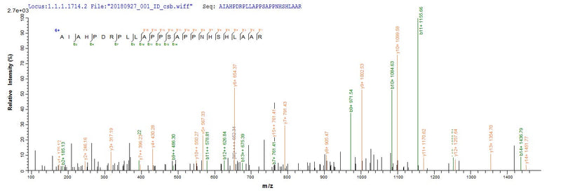 Based on the SEQUEST from database of E.coli host and target protein, the LC-MS/MS Analysis result of this product could indicate that this peptide derived from E.coli-expressed Herpes simplex virus type 2 (strain SA8) (Simian agent 8) US12.