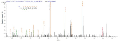 Based on the SEQUEST from database of E.coli host and target protein, the LC-MS/MS Analysis result of this product could indicate that this peptide derived from E.coli-expressed Herpes simplex virus type 2 (strain SA8) (Simian agent 8) US12.