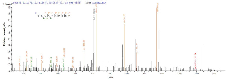 Based on the SEQUEST from database of E.coli host and target protein, the LC-MS/MS Analysis result of this product could indicate that this peptide derived from E.coli-expressed Herpes simplex virus type 2 (strain SA8) (Simian agent 8) US12.