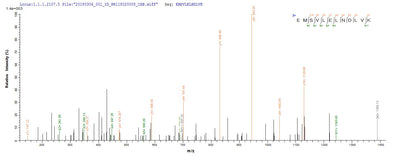 Based on the SEQUEST from database of E.coli host and target protein, the LC-MS/MS Analysis result of this product could indicate that this peptide derived from E.coli-expressed Staphylococcus aureus (strain Mu50 / ATCC 700699) rplL.