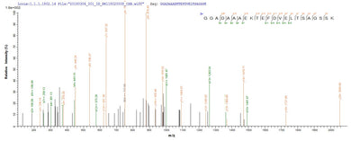 Based on the SEQUEST from database of E.coli host and target protein, the LC-MS/MS Analysis result of this product could indicate that this peptide derived from E.coli-expressed Staphylococcus aureus (strain Mu50 / ATCC 700699) rplL.