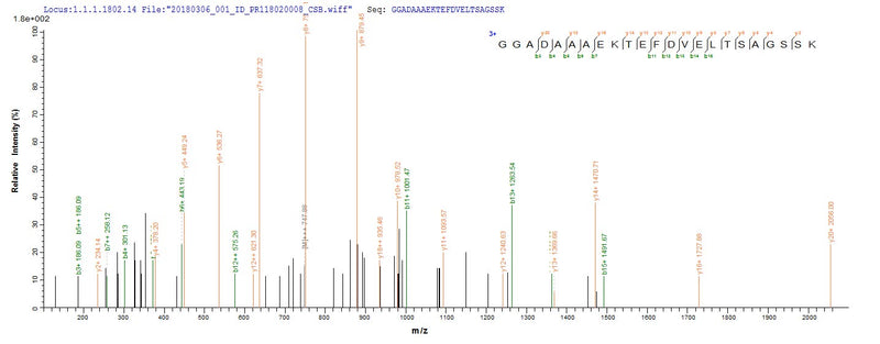 Based on the SEQUEST from database of E.coli host and target protein, the LC-MS/MS Analysis result of this product could indicate that this peptide derived from E.coli-expressed Staphylococcus aureus (strain Mu50 / ATCC 700699) rplL.