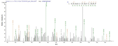 Based on the SEQUEST from database of E.coli host and target protein, the LC-MS/MS Analysis result of this product could indicate that this peptide derived from E.coli-expressed Escherichia coli (strain K12) fkpA.