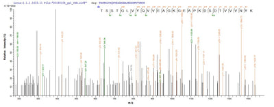Based on the SEQUEST from database of E.coli host and target protein, the LC-MS/MS Analysis result of this product could indicate that this peptide derived from E.coli-expressed Escherichia coli (strain K12) fkpA.