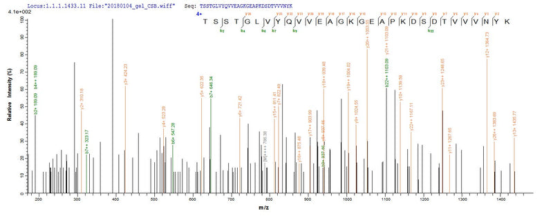 Based on the SEQUEST from database of E.coli host and target protein, the LC-MS/MS Analysis result of this product could indicate that this peptide derived from E.coli-expressed Escherichia coli (strain K12) fkpA.