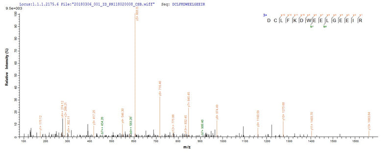 Based on the SEQUEST from database of E.coli host and target protein, the LC-MS/MS Analysis result of this product could indicate that this peptide derived from E.coli-expressed Hepatitis B virus genotype D subtype ayw (isolate France/Tiollais/1979) (HBV-D) X.Recombinant Hepatitis B Virus Genotype D Subtype Ayw Protein X (X) Protein (His-SUMO)
