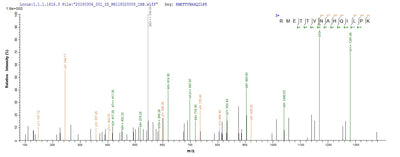 Based on the SEQUEST from database of E.coli host and target protein, the LC-MS/MS Analysis result of this product could indicate that this peptide derived from E.coli-expressed Hepatitis B virus genotype D subtype ayw (isolate France/Tiollais/1979) (HBV-D) X.Recombinant Hepatitis B Virus Genotype D Subtype Ayw Protein X (X) Protein (His-SUMO)