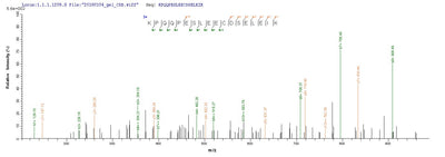 Based on the SEQUEST from database of E.coli host and target protein, the LC-MS/MS Analysis result of this product could indicate that this peptide derived from E.coli-expressed Epstein-Barr virus (strain B95-8) (HHV-4) (Human herpesvirus 4) BZLF1.Recombinant Epstein-Barr Virus Lytic Switch Protein Bzlf1 (BZLF1) Protein (His-SUMO)