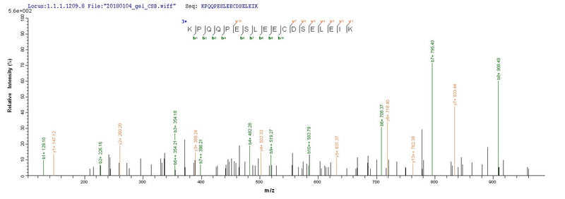 Based on the SEQUEST from database of E.coli host and target protein, the LC-MS/MS Analysis result of this product could indicate that this peptide derived from E.coli-expressed Epstein-Barr virus (strain B95-8) (HHV-4) (Human herpesvirus 4) BZLF1.Recombinant Epstein-Barr Virus Lytic Switch Protein Bzlf1 (BZLF1) Protein (His-SUMO)