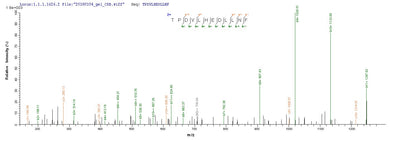 Based on the SEQUEST from database of E.coli host and target protein, the LC-MS/MS Analysis result of this product could indicate that this peptide derived from E.coli-expressed Epstein-Barr virus (strain B95-8) (HHV-4) (Human herpesvirus 4) BZLF1.Recombinant Epstein-Barr Virus Lytic Switch Protein Bzlf1 (BZLF1) Protein (His-SUMO)