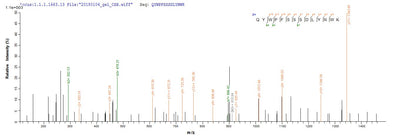 Based on the SEQUEST from database of E.coli host and target protein, the LC-MS/MS Analysis result of this product could indicate that this peptide derived from E.coli-expressed Moloney murine leukemia virus (isolate Shinnick) (MoMLV) gag.Recombinant Moloney Murine Leukemia Virus Gag Polyprotein (GAG) Protein (GST)