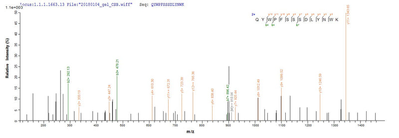 Based on the SEQUEST from database of E.coli host and target protein, the LC-MS/MS Analysis result of this product could indicate that this peptide derived from E.coli-expressed Moloney murine leukemia virus (isolate Shinnick) (MoMLV) gag.Recombinant Moloney Murine Leukemia Virus Gag Polyprotein (GAG) Protein (GST)