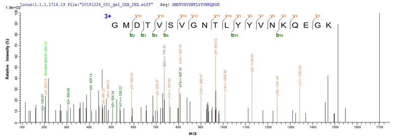 Based on the SEQUEST from database of E.coli host and target protein, the LC-MS/MS Analysis result of this product could indicate that this peptide derived from E.coli-expressed Human respiratory syncytial virus A (strain A2) F.Recombinant Human Respiratory Syncytial Virus A Fusion Glycoprotein F0 (F) Protein (His-B2M)