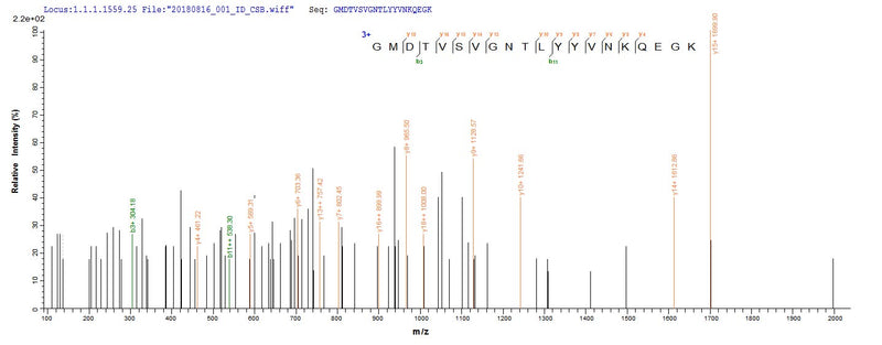 Based on the SEQUEST from database of E.coli host and target protein, the LC-MS/MS Analysis result of this product could indicate that this peptide derived from E.coli-expressed Human respiratory syncytial virus A (strain A2) F.Recombinant Human Respiratory Syncytial Virus A Fusion Glycoprotein F0 (F) Protein (His)
