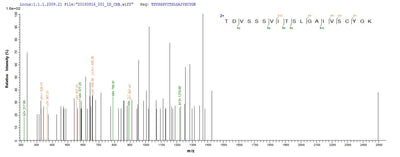 Based on the SEQUEST from database of E.coli host and target protein, the LC-MS/MS Analysis result of this product could indicate that this peptide derived from E.coli-expressed Human respiratory syncytial virus A (strain A2) F.Recombinant Human Respiratory Syncytial Virus A Fusion Glycoprotein F0 (F) Protein (His)