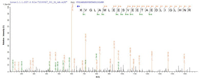 Based on the SEQUEST from database of E.coli host and target protein, the LC-MS/MS Analysis result of this product could indicate that this peptide derived from E.coli-expressed Enterobacteria phage T7 (Bacteriophage T7) 4.