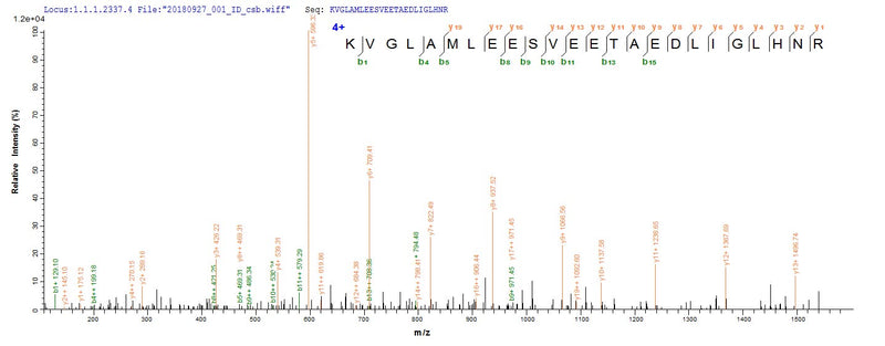 Based on the SEQUEST from database of E.coli host and target protein, the LC-MS/MS Analysis result of this product could indicate that this peptide derived from E.coli-expressed Enterobacteria phage T7 (Bacteriophage T7) 4.
