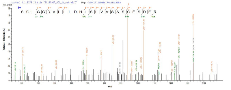 Based on the SEQUEST from database of E.coli host and target protein, the LC-MS/MS Analysis result of this product could indicate that this peptide derived from E.coli-expressed Enterobacteria phage T7 (Bacteriophage T7) 4.