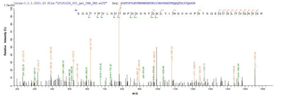 Based on the SEQUEST from database of E.coli host and target protein, the LC-MS/MS Analysis result of this product could indicate that this peptide derived from E.coli-expressed Influenza A virus (strain A/England/878/1969 H3N2) HA.