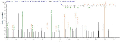 Based on the SEQUEST from database of E.coli host and target protein, the LC-MS/MS Analysis result of this product could indicate that this peptide derived from E.coli-expressed Influenza A virus (strain A/England/878/1969 H3N2) HA.