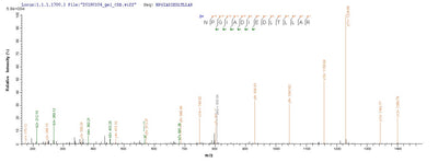 Based on the SEQUEST from database of E.coli host and target protein, the LC-MS/MS Analysis result of this product could indicate that this peptide derived from E.coli-expressed Influenza B virus (strain B/Singapore/222/1979) NP.Recombinant Influenza B Virus Nucleoprotein (NP) Protein (His-SUMO)