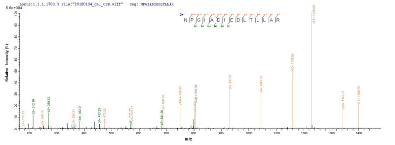 Based on the SEQUEST from database of E.coli host and target protein, the LC-MS/MS Analysis result of this product could indicate that this peptide derived from E.coli-expressed Influenza B virus (strain B/Singapore/222/1979) NP.Recombinant Influenza B Virus Nucleoprotein (NP) Protein (His-SUMO)