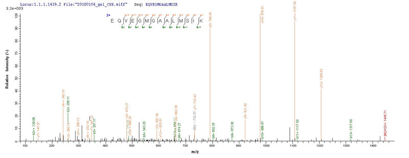 Based on the SEQUEST from database of E.coli host and target protein, the LC-MS/MS Analysis result of this product could indicate that this peptide derived from E.coli-expressed Influenza B virus (strain B/Singapore/222/1979) NP.