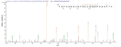 Based on the SEQUEST from database of E.coli host and target protein, the LC-MS/MS Analysis result of this product could indicate that this peptide derived from E.coli-expressed Clostridium tetani (strain Massachusetts / E88) tetX.Recombinant Clostridium Tetani Tetanus Toxin (TETX) Protein (His)