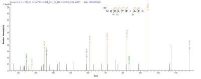 Based on the SEQUEST from database of E.coli host and target protein, the LC-MS/MS Analysis result of this product could indicate that this peptide derived from E.coli-expressed Clostridium tetani (strain Massachusetts / E88) tetX.Recombinant Clostridium Tetani Tetanus Toxin (TETX) Protein (His)