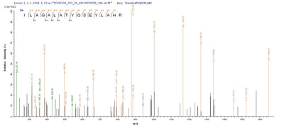 Based on the SEQUEST from database of E.coli host and target protein, the LC-MS/MS Analysis result of this product could indicate that this peptide derived from E.coli-expressed Bordetella pertussis (strain Tohama I / ATCC BAA-589 / NCTC 13251) ptxA.