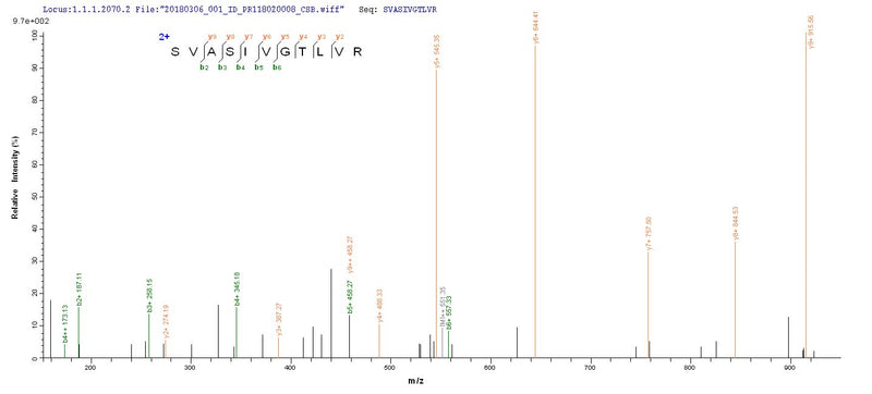 Based on the SEQUEST from database of E.coli host and target protein, the LC-MS/MS Analysis result of this product could indicate that this peptide derived from E.coli-expressed Bordetella pertussis (strain Tohama I / ATCC BAA-589 / NCTC 13251) ptxA.