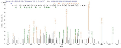 Based on the SEQUEST from database of E.coli host and target protein, the LC-MS/MS Analysis result of this product could indicate that this peptide derived from E.coli-expressed Escherichia coli (strain K12) alkB.Recombinant E.Coli Alpha-Ketoglutarate-Dependent Dioxygenase Alkb (ALKB) Protein (His-SUMO&Myc)