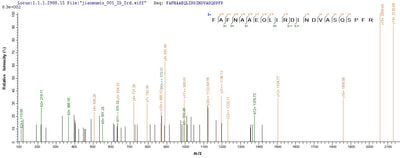 Based on the SEQUEST from database of E.coli host and target protein, the LC-MS/MS Analysis result of this product could indicate that this peptide derived from E.coli-expressed Escherichia coli (strain K12) alkB.Recombinant E.Coli Alpha-Ketoglutarate-Dependent Dioxygenase Alkb (ALKB) Protein (His-SUMO&Myc)