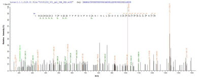 Based on the SEQUEST from database of E.coli host and target protein, the LC-MS/MS Analysis result of this product could indicate that this peptide derived from E.coli-expressed Protobothrops flavoviridis (Habu) (Trimeresurus flavoviridis) TLF1.