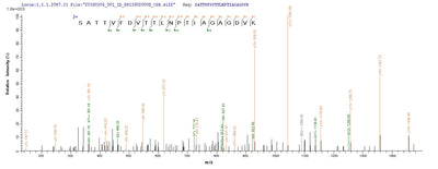 Based on the SEQUEST from database of E.coli host and target protein, the LC-MS/MS Analysis result of this product could indicate that this peptide derived from E.coli-expressed Chlamydia trachomatis serovar L2 (strain 434/Bu / ATCC VR-902B) ompA.Recombinant Chlamydia Trachomatis Serovar L2 Major Outer Membrane Porin (OMPA) Protein (His-SUMO)