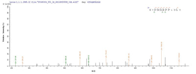 Based on the SEQUEST from database of E.coli host and target protein, the LC-MS/MS Analysis result of this product could indicate that this peptide derived from E.coli-expressed Chlamydia trachomatis serovar L2 (strain 434/Bu / ATCC VR-902B) ompA.Recombinant Chlamydia Trachomatis Serovar L2 Major Outer Membrane Porin (OMPA) Protein (His-SUMO)