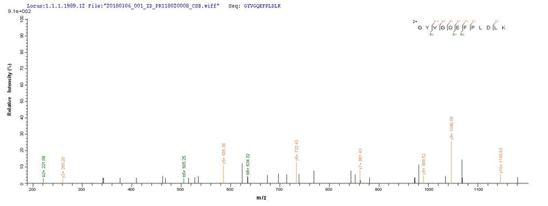 Based on the SEQUEST from database of E.coli host and target protein, the LC-MS/MS Analysis result of this product could indicate that this peptide derived from E.coli-expressed Chlamydia trachomatis serovar L2 (strain 434/Bu / ATCC VR-902B) ompA.Recombinant Chlamydia Trachomatis Serovar L2 Major Outer Membrane Porin (OMPA) Protein (His-SUMO)