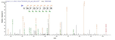 Based on the SEQUEST from database of E.coli host and target protein, the LC-MS/MS Analysis result of this product could indicate that this peptide derived from E.coli-expressed Escherichia coli eltA.