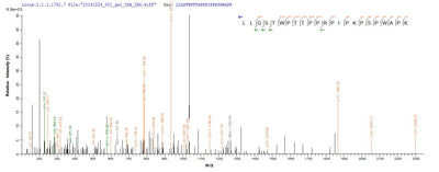 Based on the SEQUEST from database of E.coli host and target protein, the LC-MS/MS Analysis result of this product could indicate that this peptide derived from E.coli-expressed Human papillomavirus type 16 E4.