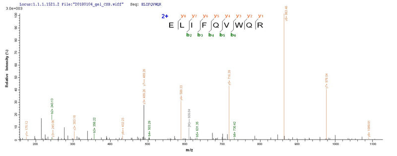 Based on the SEQUEST from database of E.coli host and target protein, the LC-MS/MS Analysis result of this product could indicate that this peptide derived from E.coli-expressed Human immunodeficiency virus type 2 subtype A (isolate ROD) (HIV-2) vpx.