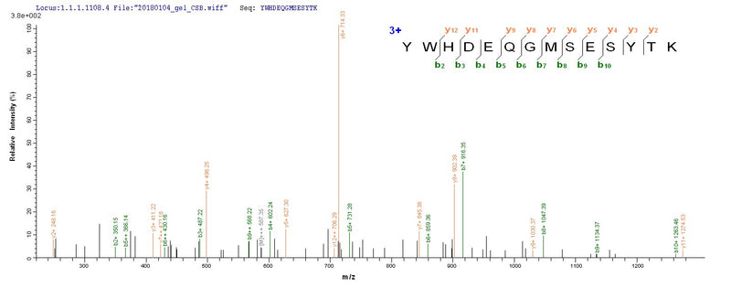 Based on the SEQUEST from database of E.coli host and target protein, the LC-MS/MS Analysis result of this product could indicate that this peptide derived from E.coli-expressed Human immunodeficiency virus type 2 subtype A (isolate ROD) (HIV-2) vpx.