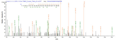 Based on the SEQUEST from database of E.coli host and target protein, the LC-MS/MS Analysis result of this product could indicate that this peptide derived from E.coli-expressed Escherichia coli (strain K12) ompC.Recombinant E.Coli Outer Membrane Protein C (OMPC) Protein (His-SUMO)