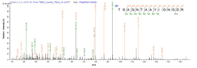 Based on the SEQUEST from database of E.coli host and target protein, the LC-MS/MS Analysis result of this product could indicate that this peptide derived from E.coli-expressed Escherichia coli (strain K12) ompC.Recombinant E.Coli Outer Membrane Protein C (OMPC) Protein (His-SUMO)
