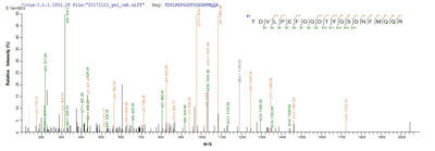 Based on the SEQUEST from database of E.coli host and target protein, the LC-MS/MS Analysis result of this product could indicate that this peptide derived from E.coli-expressed Escherichia coli (strain K12) ompC.