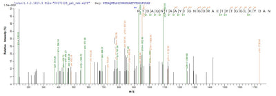 Based on the SEQUEST from database of E.coli host and target protein, the LC-MS/MS Analysis result of this product could indicate that this peptide derived from E.coli-expressed Escherichia coli (strain K12) ompC.