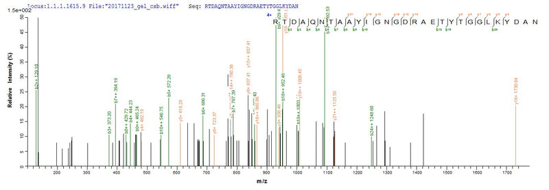 Based on the SEQUEST from database of E.coli host and target protein, the LC-MS/MS Analysis result of this product could indicate that this peptide derived from E.coli-expressed Escherichia coli (strain K12) ompC.