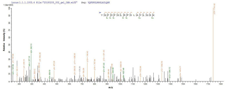 Based on the SEQUEST from database of E.coli host and target protein, the LC-MS/MS Analysis result of this product could indicate that this peptide derived from E.coli-expressed Escherichia coli (strain K12) ompC.